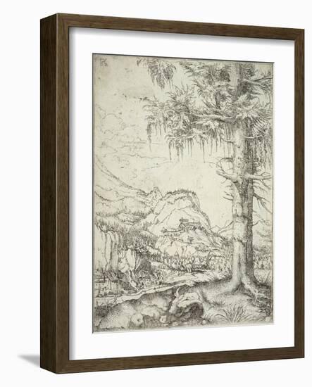 The Large Spruce, C.1520-Albrecht Altdorfer-Framed Giclee Print