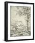 The Large Spruce, C.1520-Albrecht Altdorfer-Framed Giclee Print