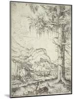 The Large Spruce, C.1520-Albrecht Altdorfer-Mounted Giclee Print