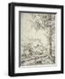 The Large Spruce, C.1520-Albrecht Altdorfer-Framed Giclee Print