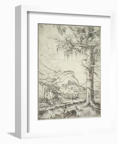 The Large Spruce, C.1520-Albrecht Altdorfer-Framed Giclee Print