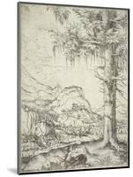 The Large Spruce, C.1520-Albrecht Altdorfer-Mounted Giclee Print