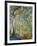 The Large Willow at Giverny, 1918-Claude Monet-Framed Giclee Print