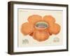 The Largest of All known Flowers-null-Framed Giclee Print