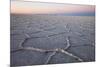 The largest salt flats in the world located in Uyuni, bolivia as the sun is rising in winter.-Mallorie Ostrowitz-Mounted Premium Photographic Print