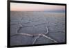 The largest salt flats in the world located in Uyuni, bolivia as the sun is rising in winter.-Mallorie Ostrowitz-Framed Photographic Print