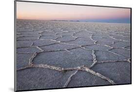 The largest salt flats in the world located in Uyuni, bolivia as the sun is rising in winter.-Mallorie Ostrowitz-Mounted Photographic Print