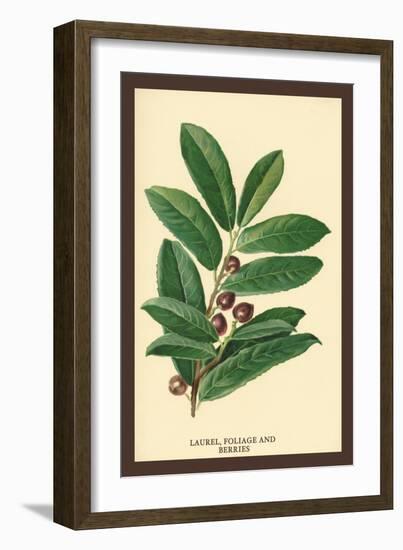 The Laruel. Foliage and Berries-W.h.j. Boot-Framed Art Print