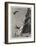 The Last Accident on the Matterhorn, August 1893-Joseph Nash-Framed Giclee Print