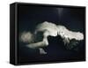 The Last Breath-Malgorzata Maj-Framed Stretched Canvas