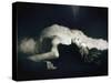 The Last Breath-Malgorzata Maj-Stretched Canvas