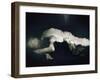 The Last Breath-Malgorzata Maj-Framed Photographic Print