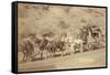 The Last Deadwood Coach-John C.H. Grabill-Framed Stretched Canvas