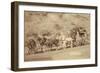 The Last Deadwood Coach-John C.H. Grabill-Framed Art Print