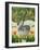 The Last Dodo-Reg Cartwright-Framed Giclee Print