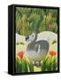 The Last Dodo-Reg Cartwright-Framed Stretched Canvas