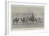 The Last Five Camels-null-Framed Giclee Print