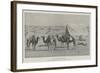 The Last Five Camels-null-Framed Giclee Print