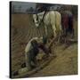 The Last Furrow, 1895-Henry Herbert La Thangue-Stretched Canvas