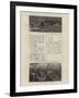 The Last Journals of David Livingstone in Central Africa-null-Framed Giclee Print