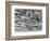 The Last Judgement, Engraved by Pieter Van Der Heyden, 1558-Pieter Bruegel the Elder-Framed Giclee Print