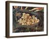 The Last Judgment-Giovanni Da Fiesole-Framed Giclee Print