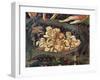 The Last Judgment-Giovanni Da Fiesole-Framed Giclee Print