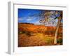 The Last Leaves-Philippe Sainte-Laudy-Framed Photographic Print