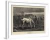 The Last Lot-George Housman Thomas-Framed Giclee Print