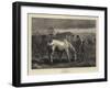 The Last Lot-George Housman Thomas-Framed Giclee Print