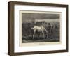 The Last Lot-George Housman Thomas-Framed Giclee Print