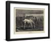 The Last Lot-George Housman Thomas-Framed Giclee Print