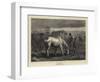 The Last Lot-George Housman Thomas-Framed Giclee Print
