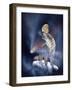 The Last Millennium-Gordon Semmens-Framed Giclee Print