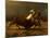 The Last of the Buffalo, C.1888-Albert Bierstadt-Mounted Giclee Print