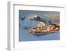 The Last Rays of Sun on the Fishing Village and the Snowy Peaks, Kvalvika, Andoya, Reine, Nordland-Roberto Moiola-Framed Photographic Print