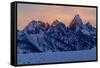 The last rays of sunset hit the Grand Teton on a winter evening-Tim Laman-Framed Stretched Canvas