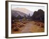 The Last Rays-John Gamble-Framed Art Print