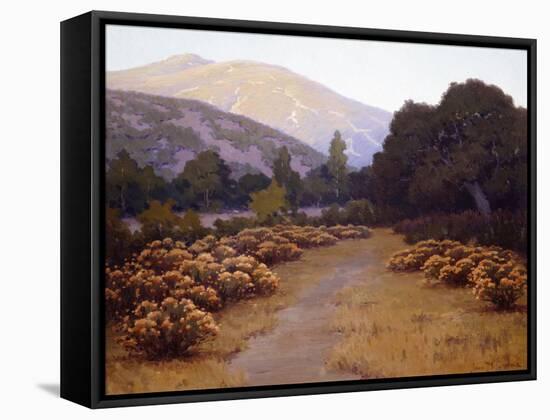 The Last Rays-John Gamble-Framed Stretched Canvas