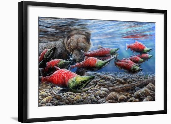 The Last Run - Sockeye Salmon-Kevin Daniel-Framed Art Print