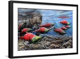 The Last Run - Sockeye Salmon-Kevin Daniel-Framed Art Print