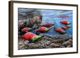 The Last Run - Sockeye Salmon-Kevin Daniel-Framed Art Print