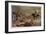 The Last Stand of the Imperial Guards at Waterloo-Robert Alexander Hillingford-Framed Giclee Print