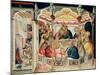 The Last Supper-Pietro Lorenzetti-Mounted Giclee Print