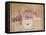 The Last Supper-null-Framed Stretched Canvas