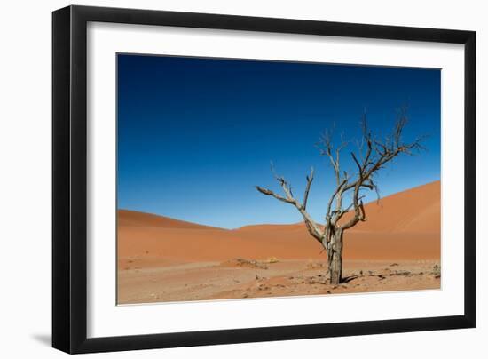 The Last Tree in the Desert-Circumnavigation-Framed Photographic Print