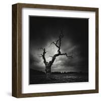 The Last Tree-Marcin Stawiarz-Framed Art Print