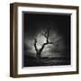 The Last Tree-Marcin Stawiarz-Framed Art Print