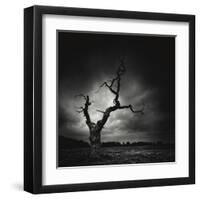 The Last Tree-Marcin Stawiarz-Framed Art Print