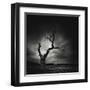 The Last Tree-Marcin Stawiarz-Framed Art Print